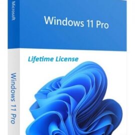 Windows 11 Pro Upgrade